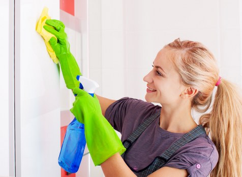 Professional pet stain odour removal in a Brixton home
