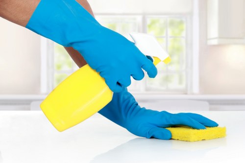 Carpet cleaning service in Brixton home interior