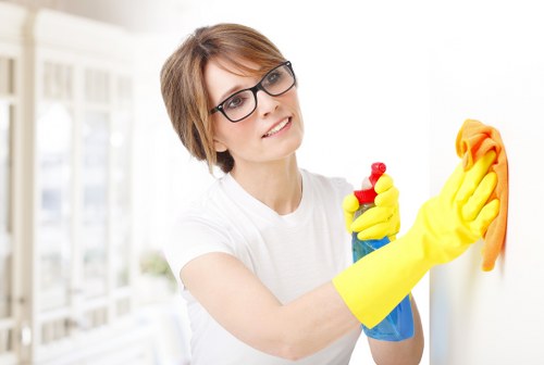 Expert carpet cleaners delivering thorough cleaning and long-term carpet maintenance