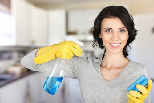Upholstery stain treatment and fabric refresh service