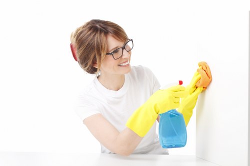 Trained cleaner working carefully on a carpeted floor
