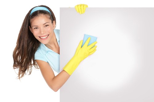 Specialist treatment for pet smells and stains in Brixton